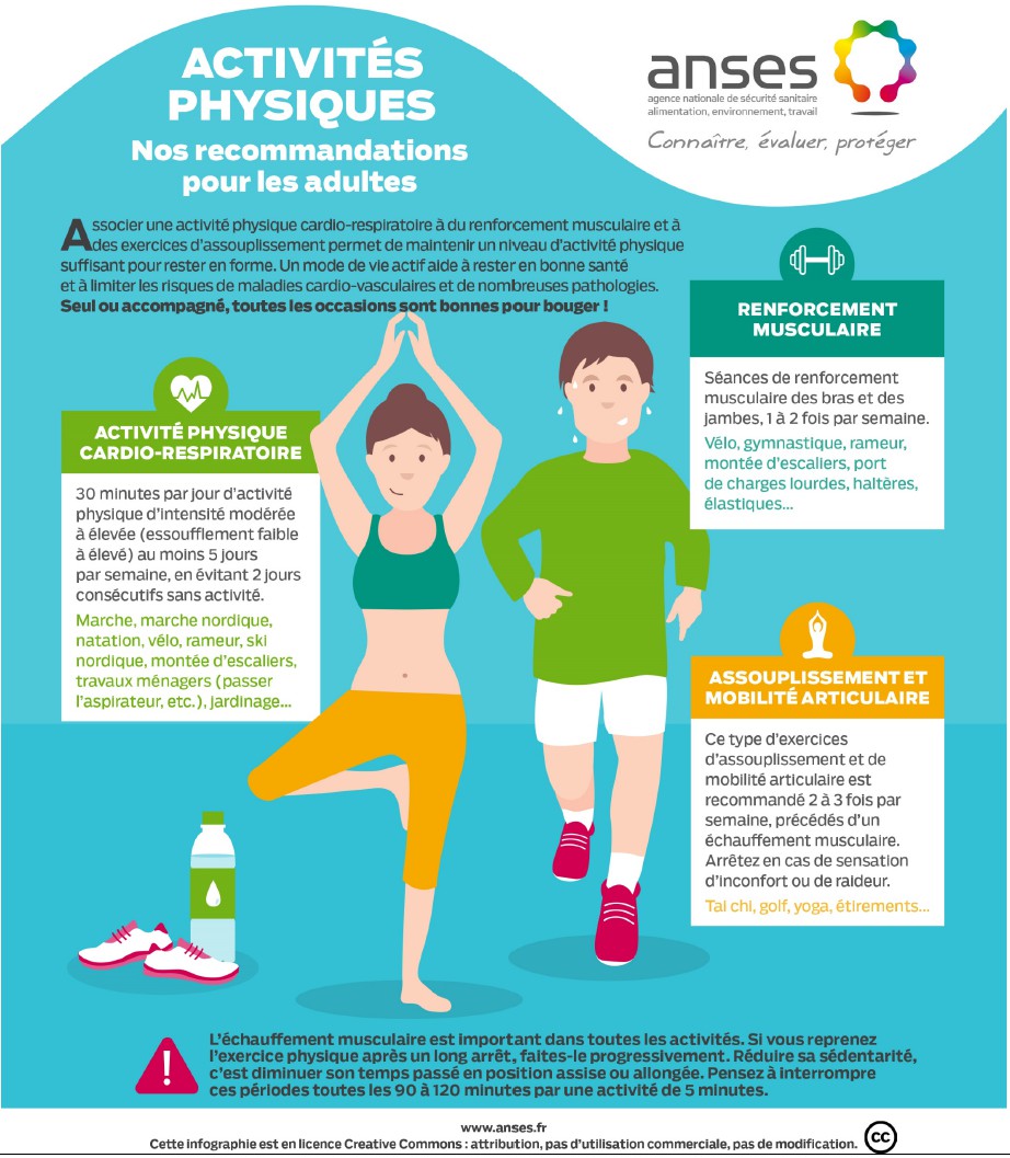 Sport : 12 minutes d'exercices suffiraient à améliorer la santé métabolique  - Workinpharma